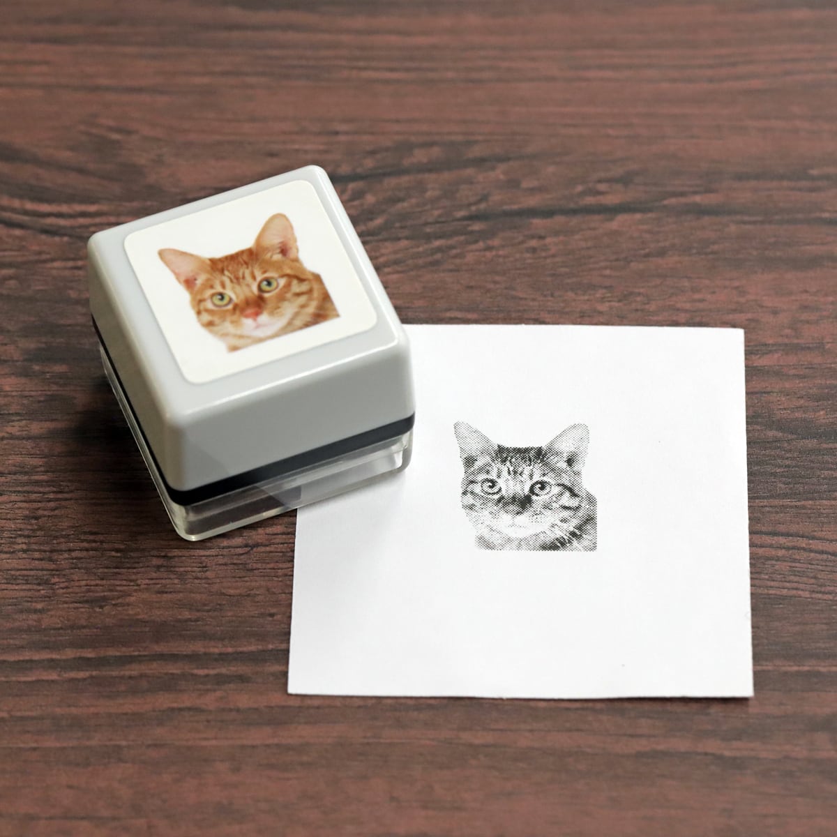 リアルふぉとスタンプ 日本猫 RP-004 | 浸透印スタンプ Yamahachi Stamp