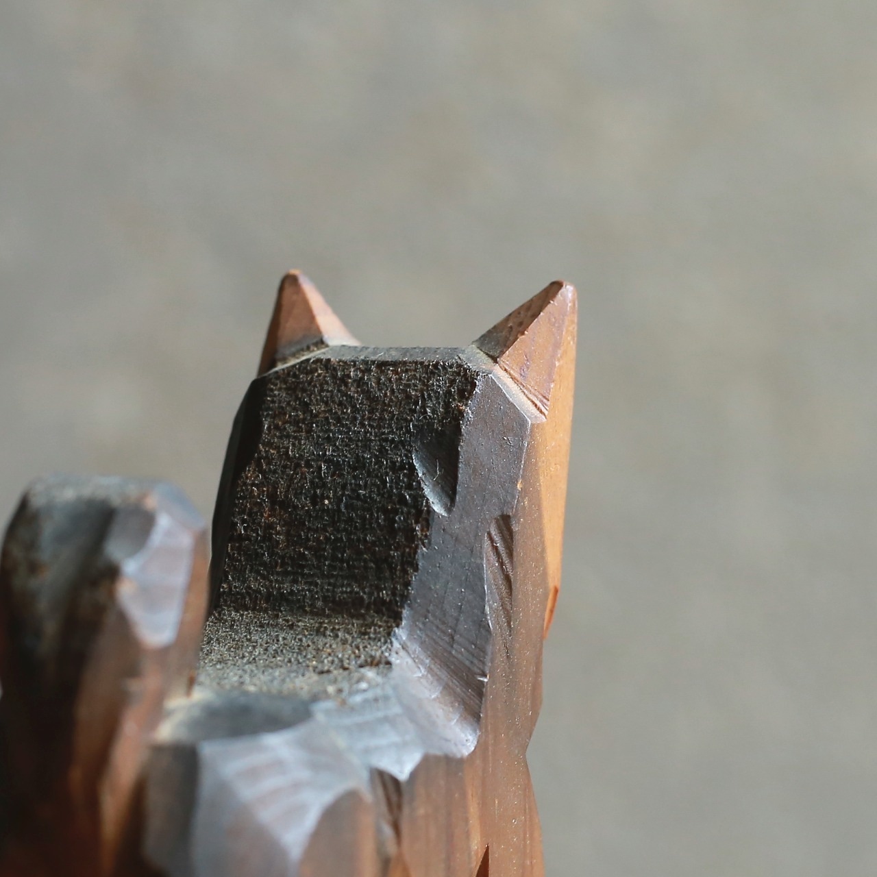 凛々しい立ち姿で、熱い視線を送る犬 1