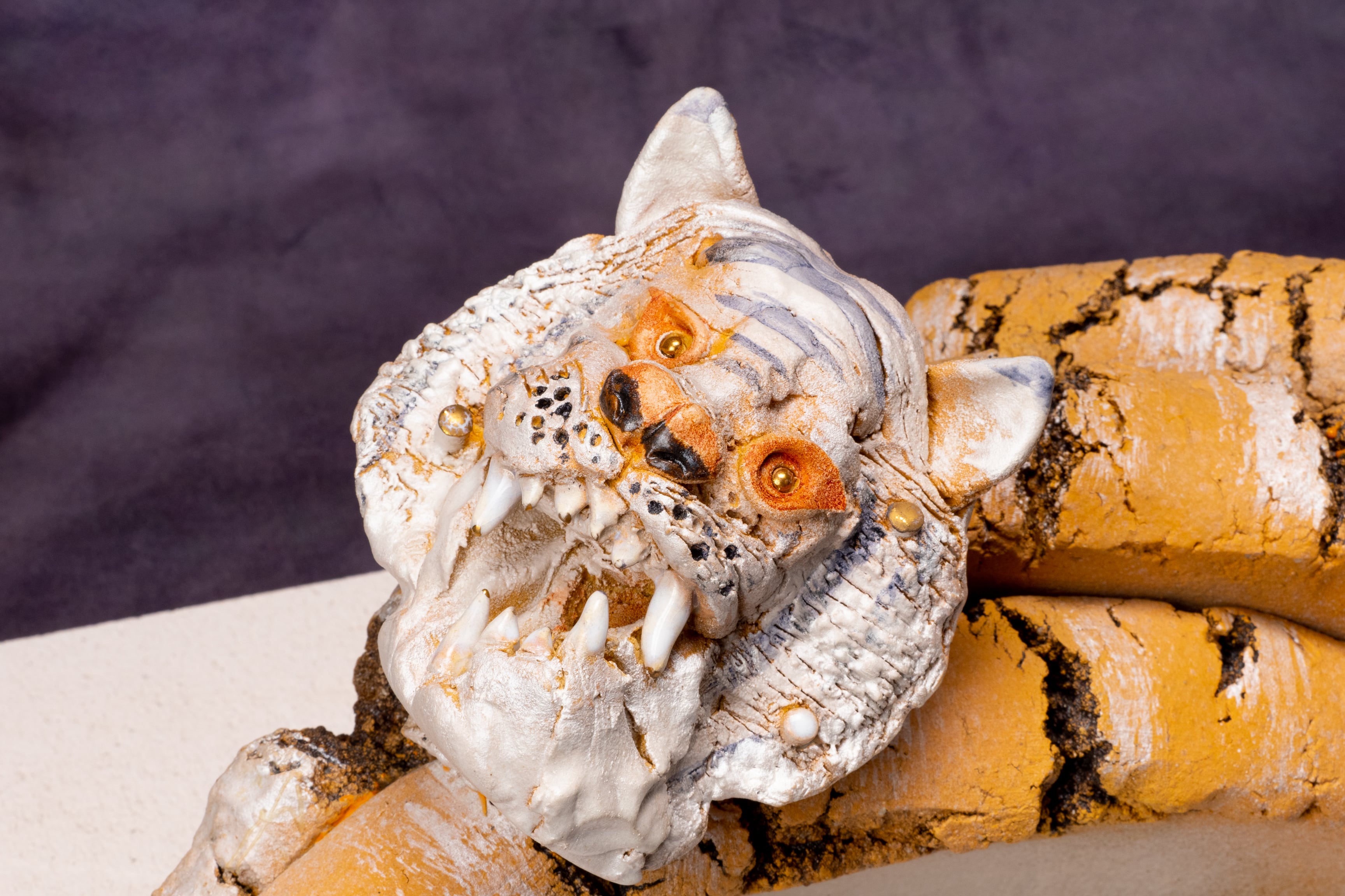 寅年コラボ企画第5弾‼️ 