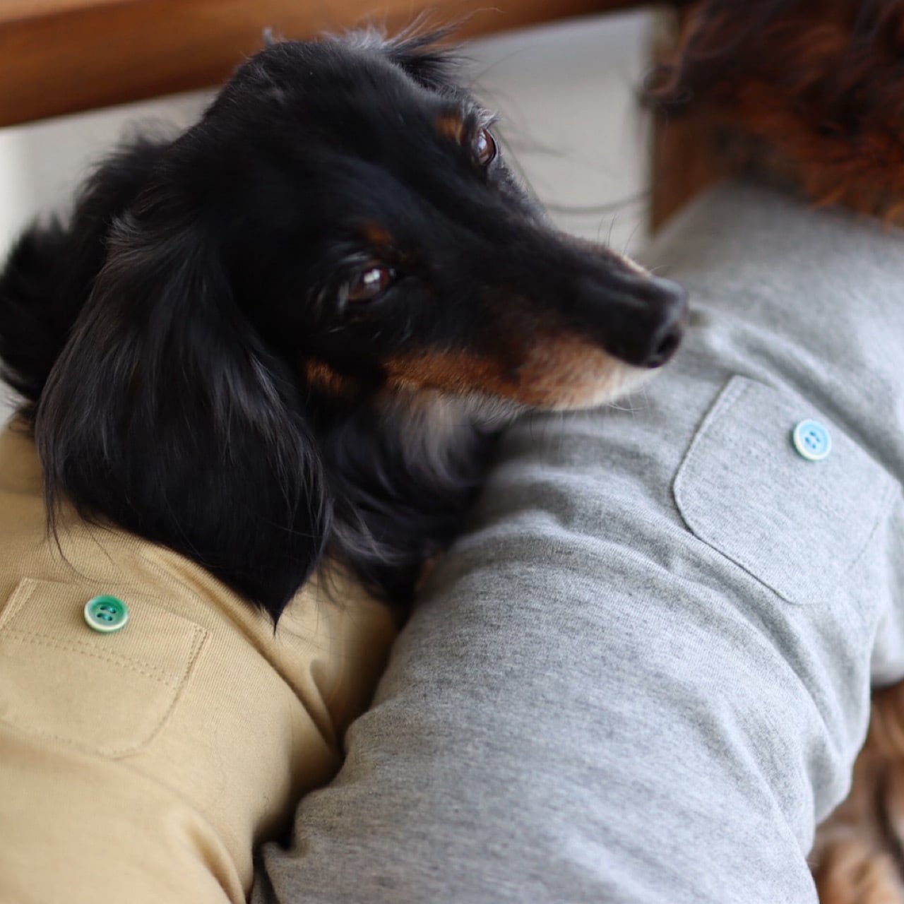 カットソー/ポッケ