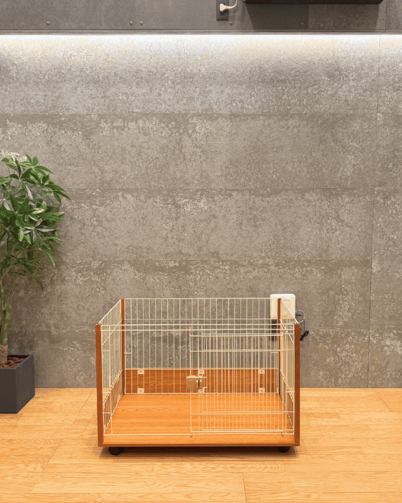 【スターターセット[Lタイプ] ieneko（ホワイト）】定価101,358円(税込) → 75,000円(大型商品送料込み）子猫時期のお留守番に！多頭飼いのご家庭にオススメ！（限定：取説動画付き！）