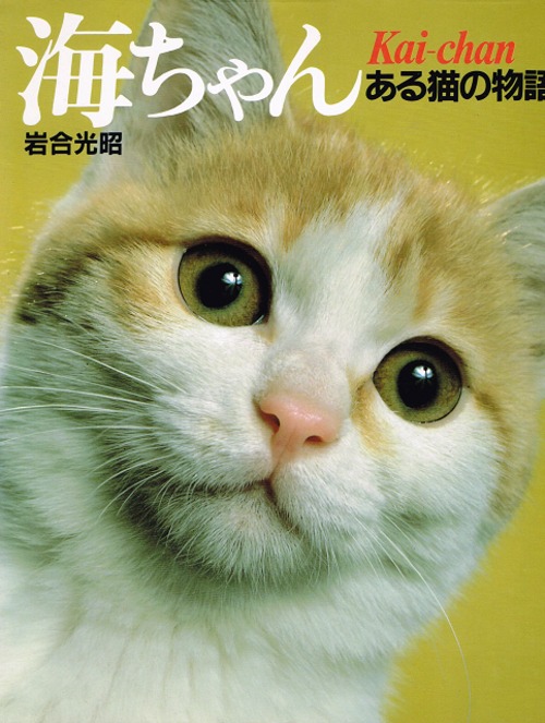 海ちゃん　ある猫の物語（写真集）（大型本）