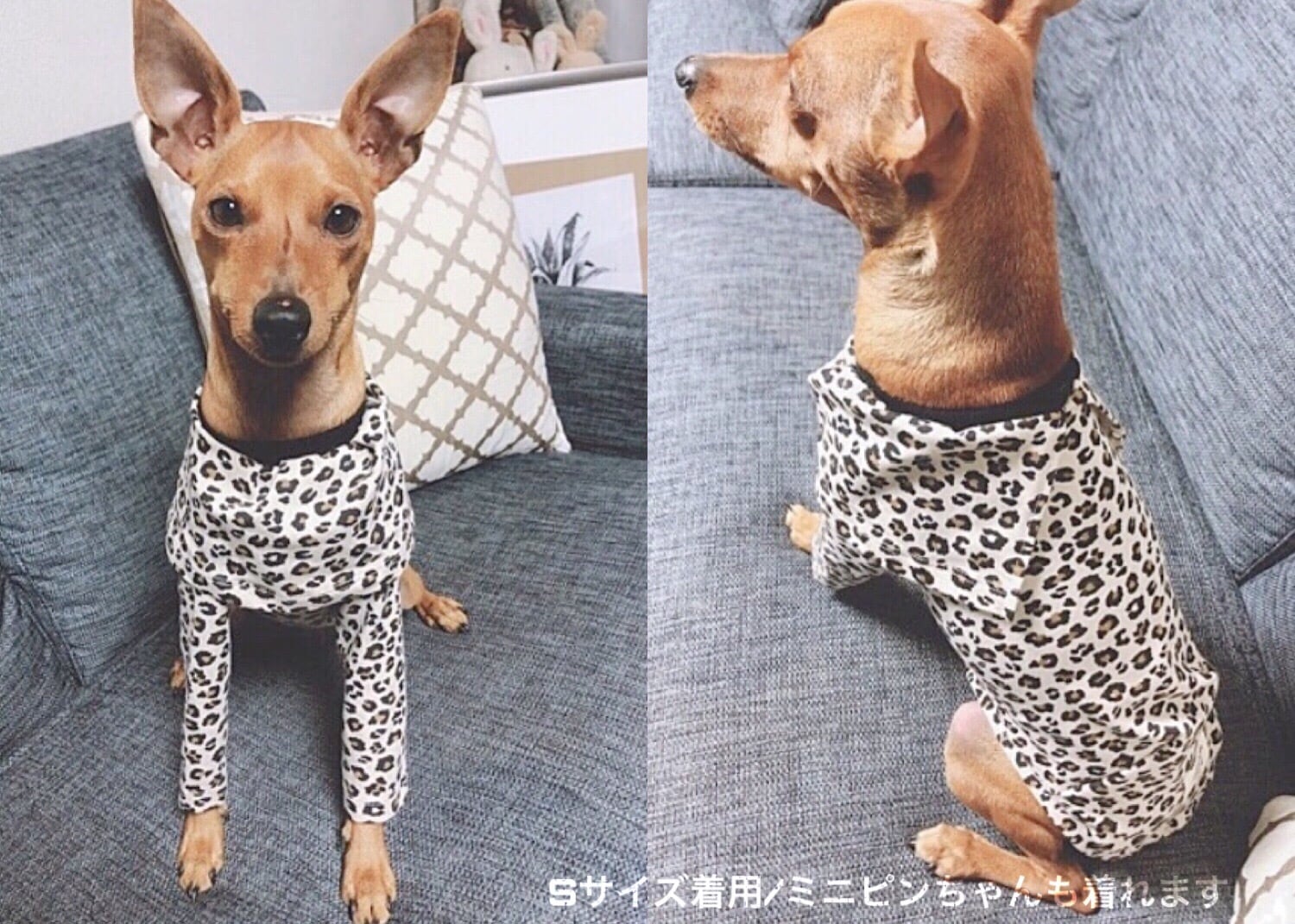 ヒョウ柄パーカー　イタグレ服　犬服　バンドメイド ヒョウ柄パーカー イタグレ服 犬服 バンドメイド ヒョウ柄