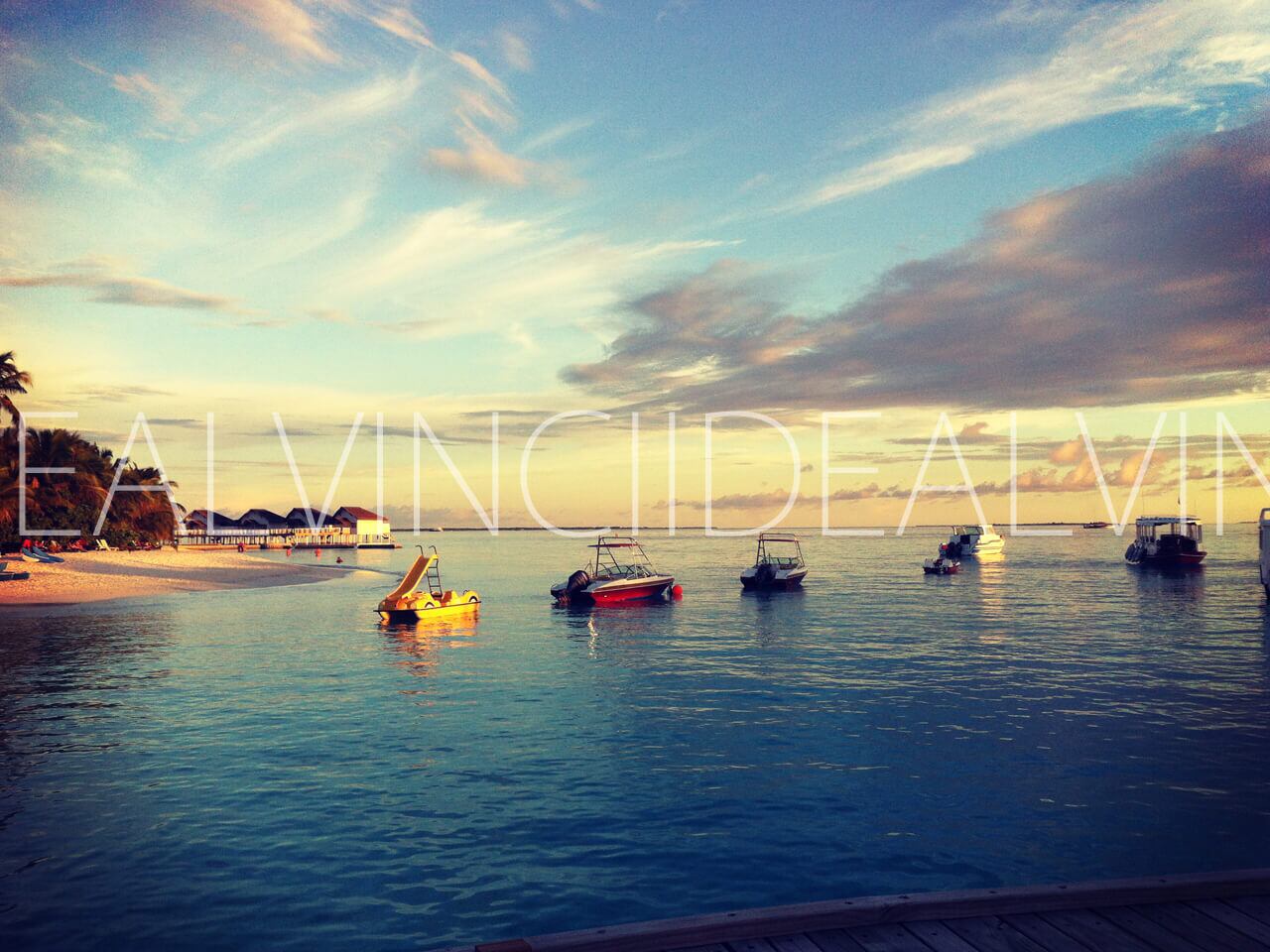 ハイビスカス サンセットビーチフォトプリントtシャツ Wear The Sea 西海岸サーフスタイルコンセプトストア