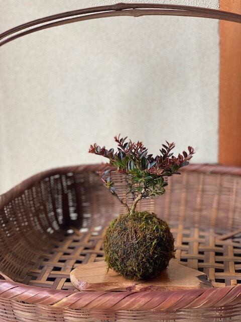 c8348a25691b1526d29930e8324b53