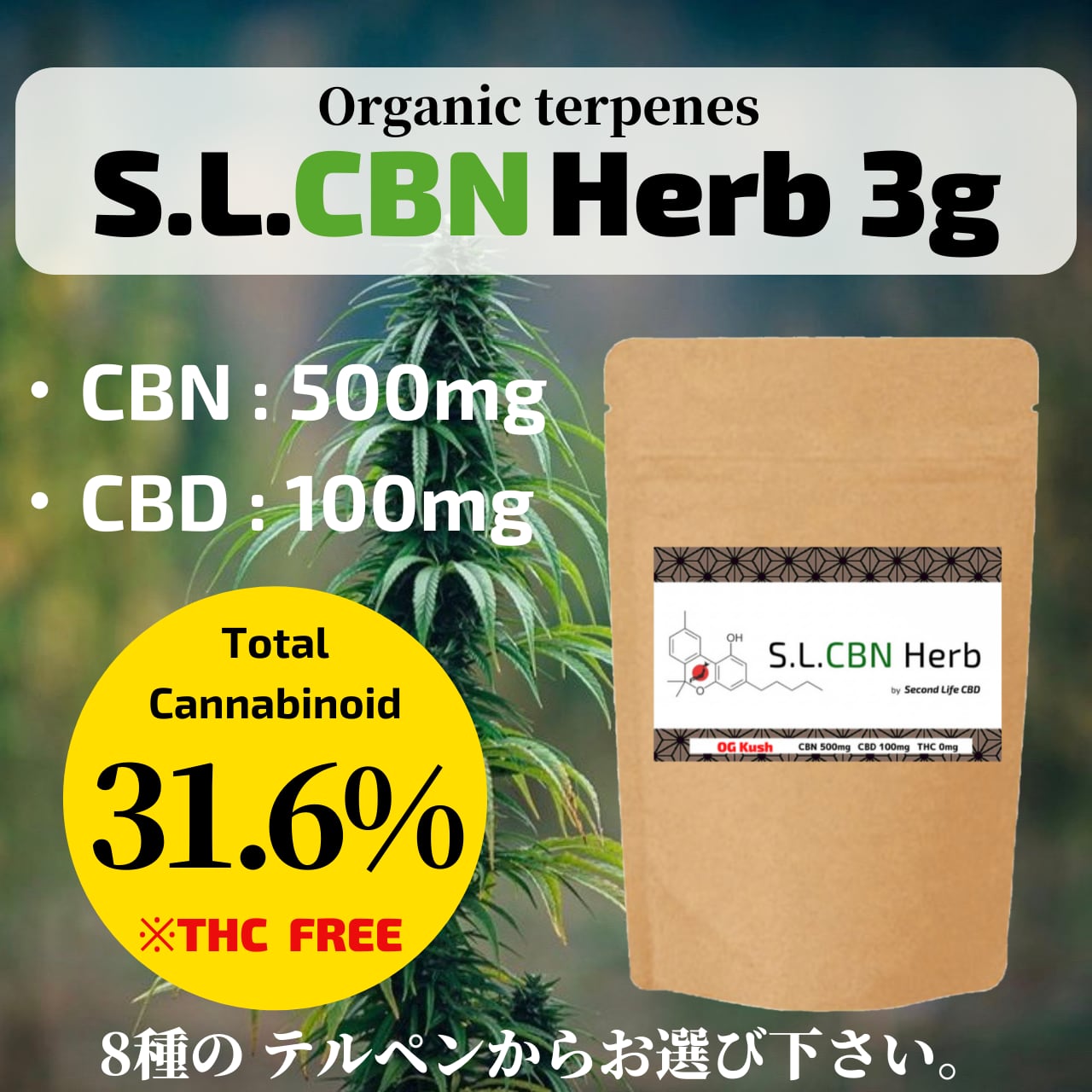 TRUE テルペン 香料 CBD CBN CBG 10ml タホオージー-