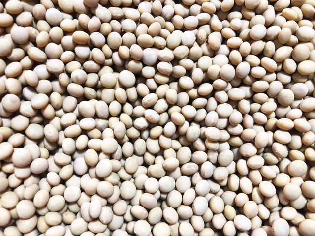 自然栽培大豆「ときの豆」：自社農場（岩見沢）　１キロ
