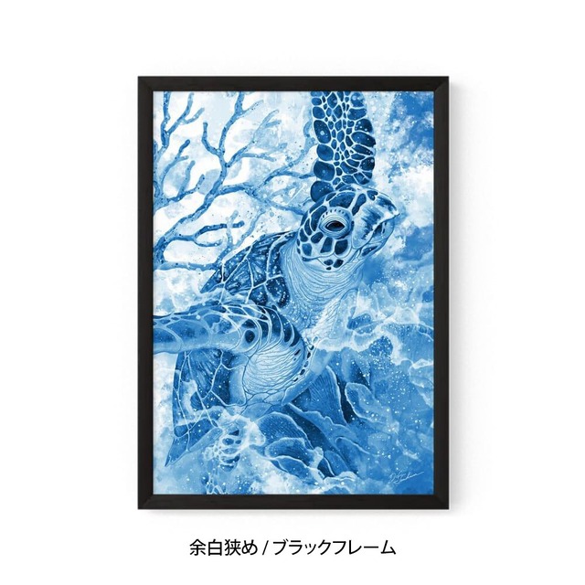 A3｜蒼海の海亀（フレームあり）