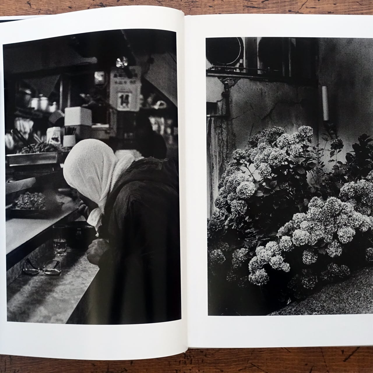 北点 North Point 中居裕恭 Hiroyasu Nakai | タイムカプセル