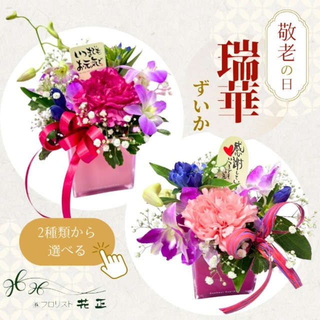 敬老の日限定アレンジメント「瑞華-ずいか-」 おすすめ 生花 プレゼント ギフト お祝い 記念日 長寿 感謝 ありがとう【配送期間：9月19日(土)〜21日(月)】