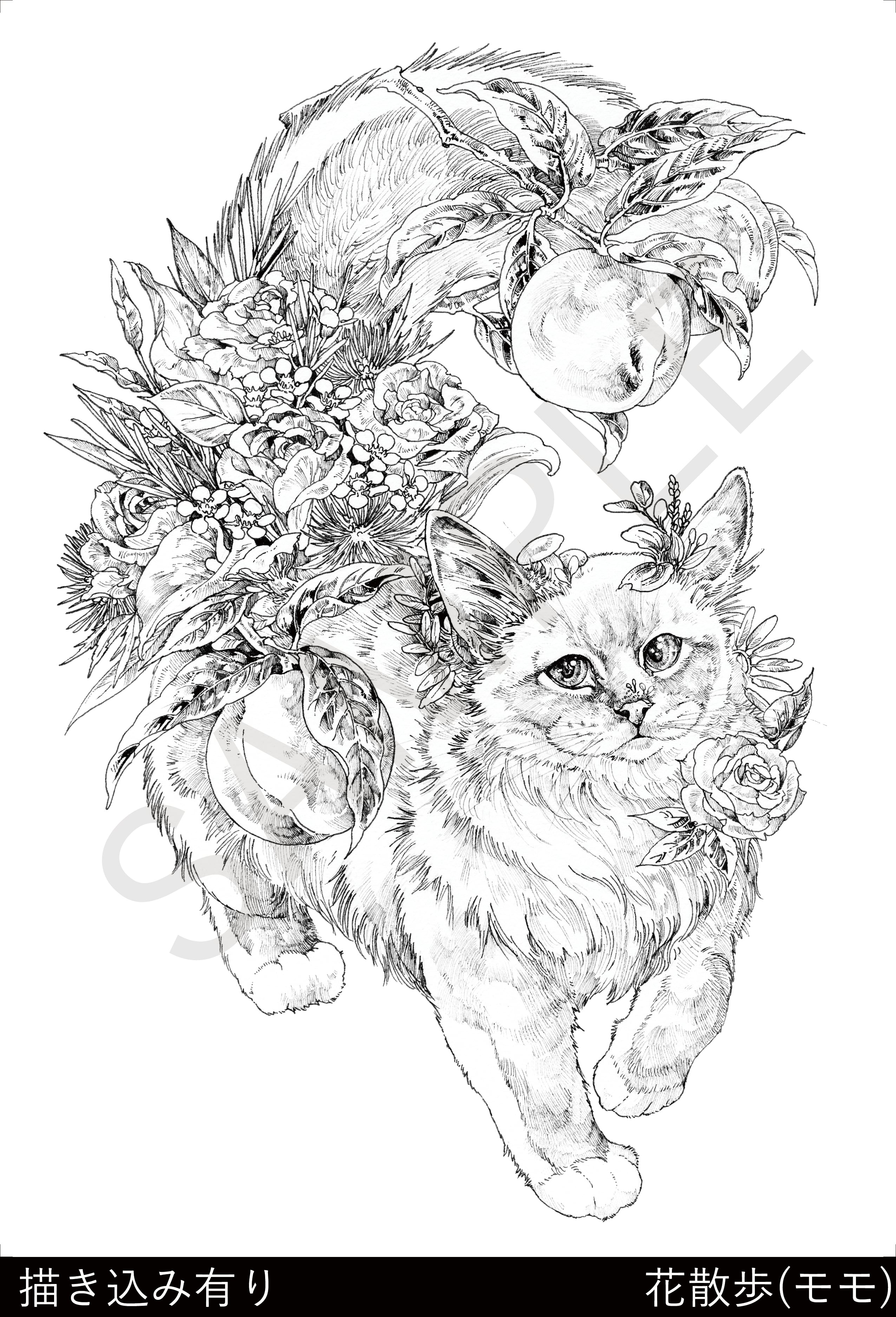塗絵セット | KEN MATSUDA ONLINE STORE