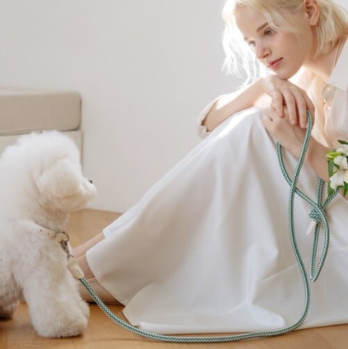 即納【stroll】Rope Collar (ForestGreen)