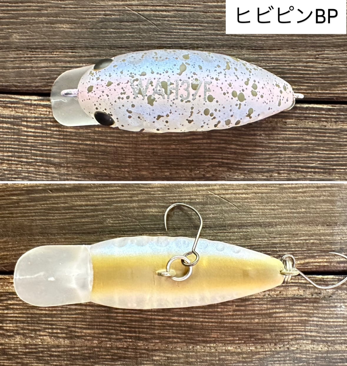 ヒビピンBP・モリフラミンゴ