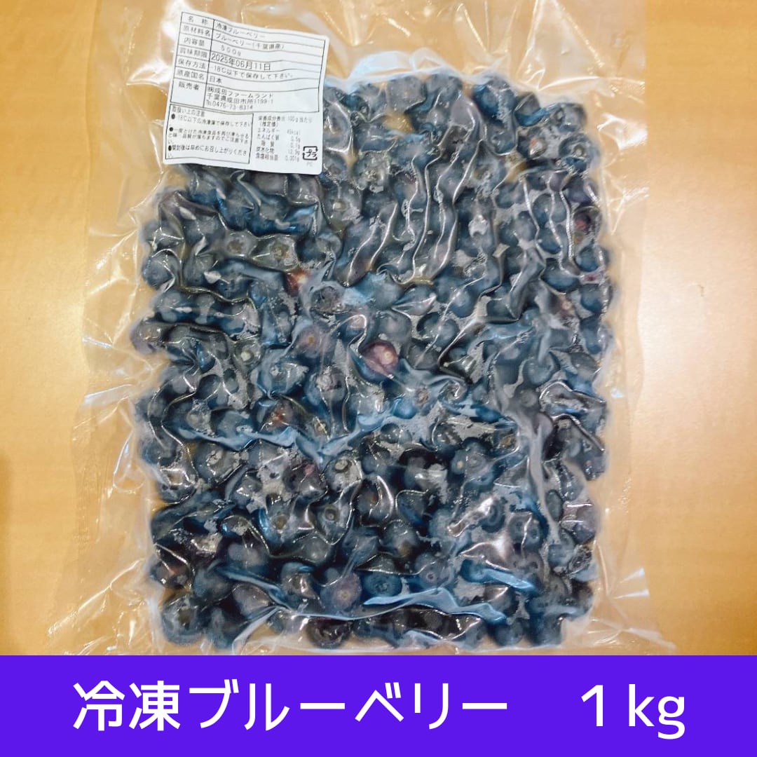 成田ファームランド公式ネットショップ　冷凍ブルーベリー　1000g×1袋【千葉県産】