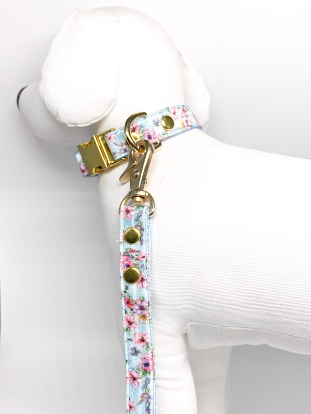 Collar&Leash set(Brianna)