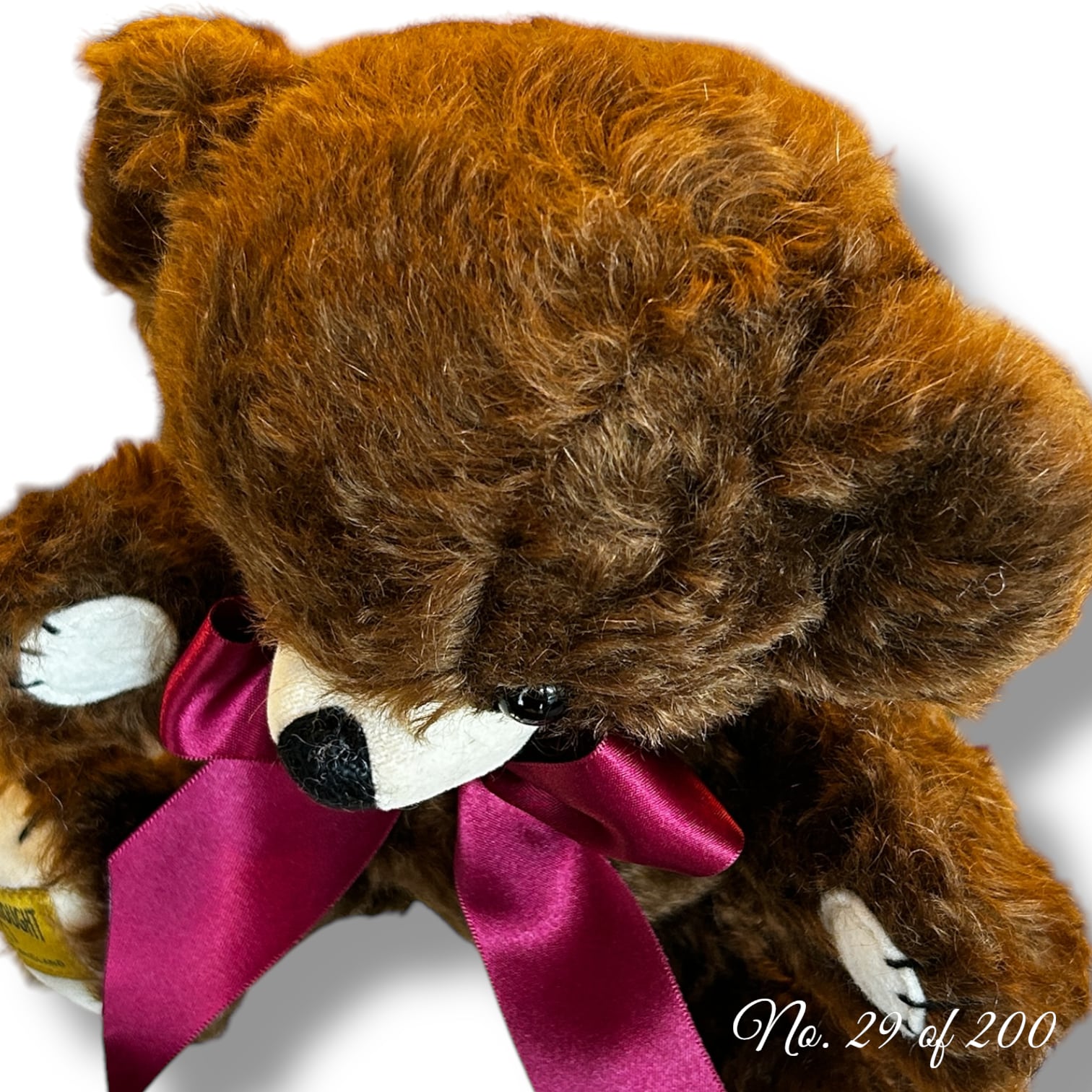 CHEEKY YEAR BEAR 2025 World Limited Edition〖Merry Thought