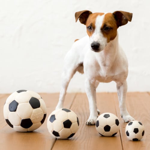 サッカーボール型　愛犬の家　総ヒノキ造り　直径約80Cm位　犬小屋　木製 木製サッカーボール(ヒノキ)【1294782】 / 愛知県みよし市 | セゾンの