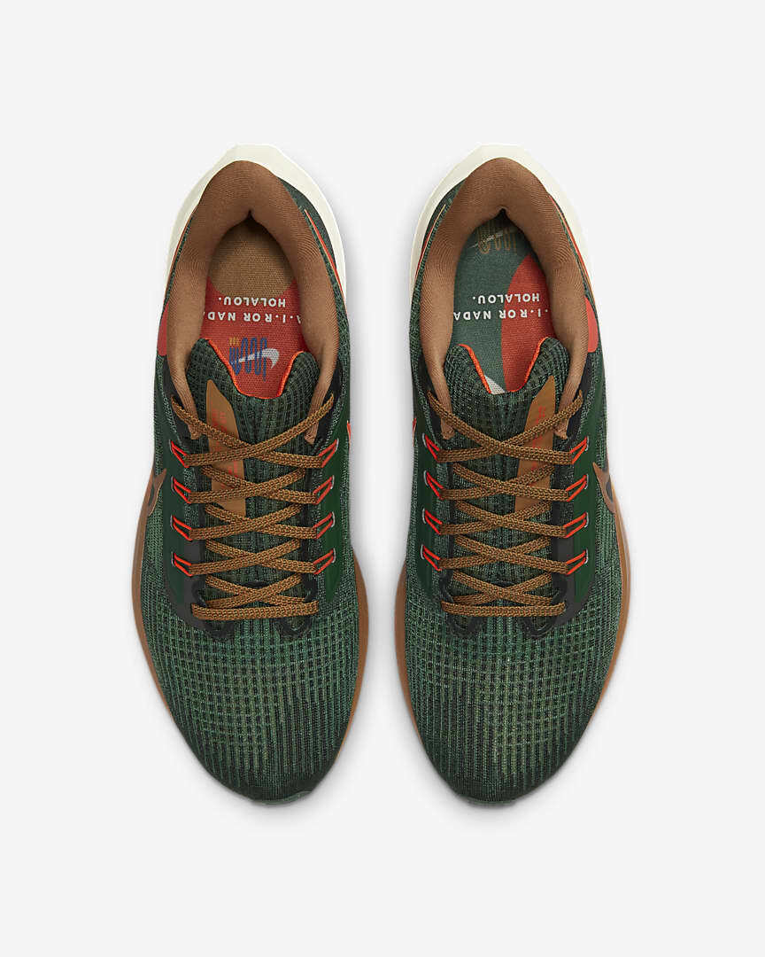Nike Air Zoom Pegasus 39 A.I.R. Hola Lou ナイキ | jordan_sneakers