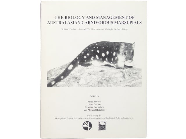 洋書◆自然界のカモフラージュ 動物写真集 本 カエル 洋書◇自然界のカモフラージュ 動物写真集 本 カエル | 洋書堂
