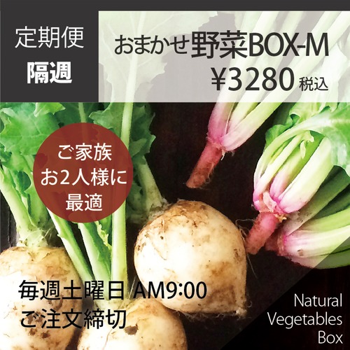 【隔週】おまかせ野菜BOX - Mサイズ