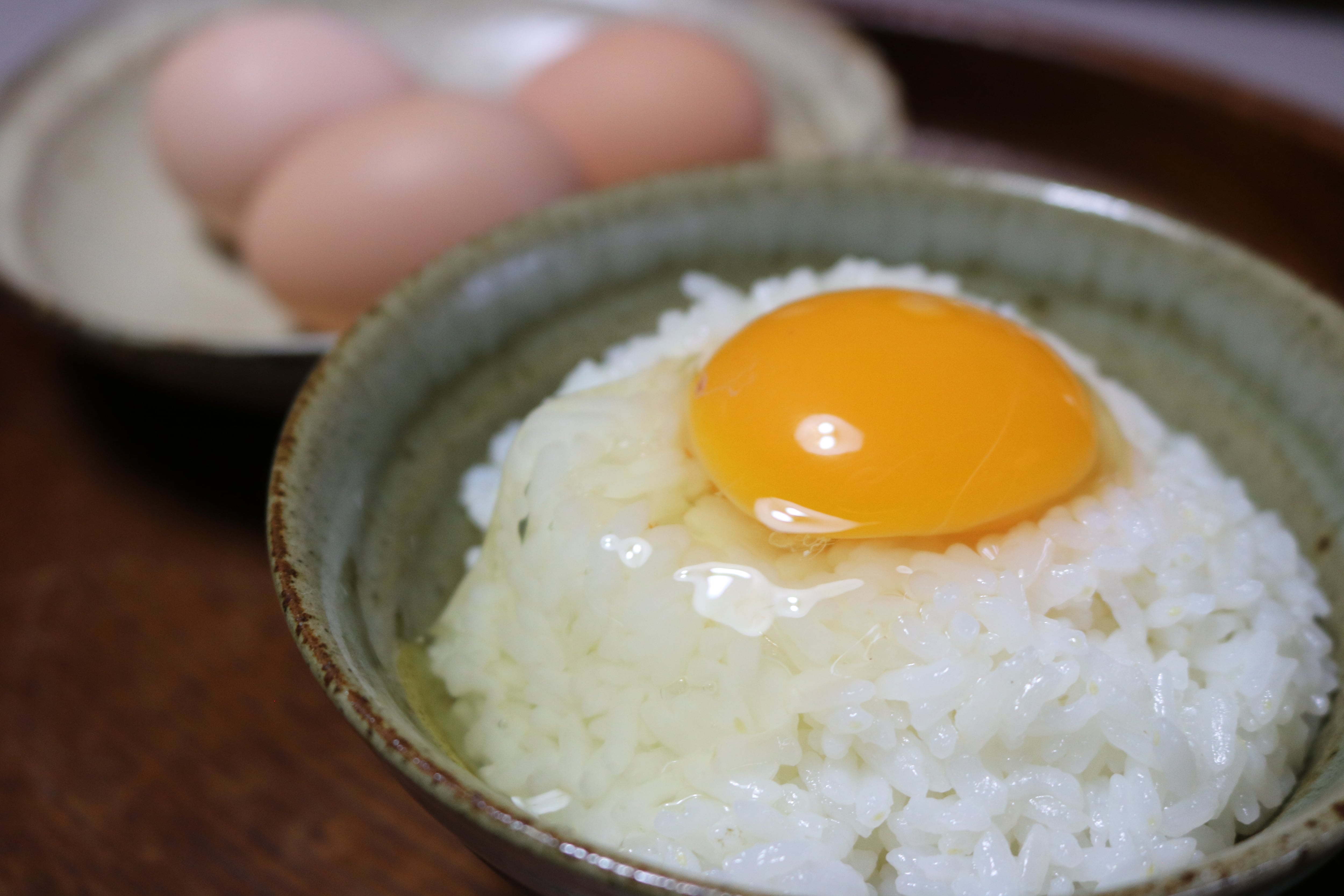 年間定期便】裏庭の土佐ジロー有精卵 25個入りギフトパック 毎月お届け