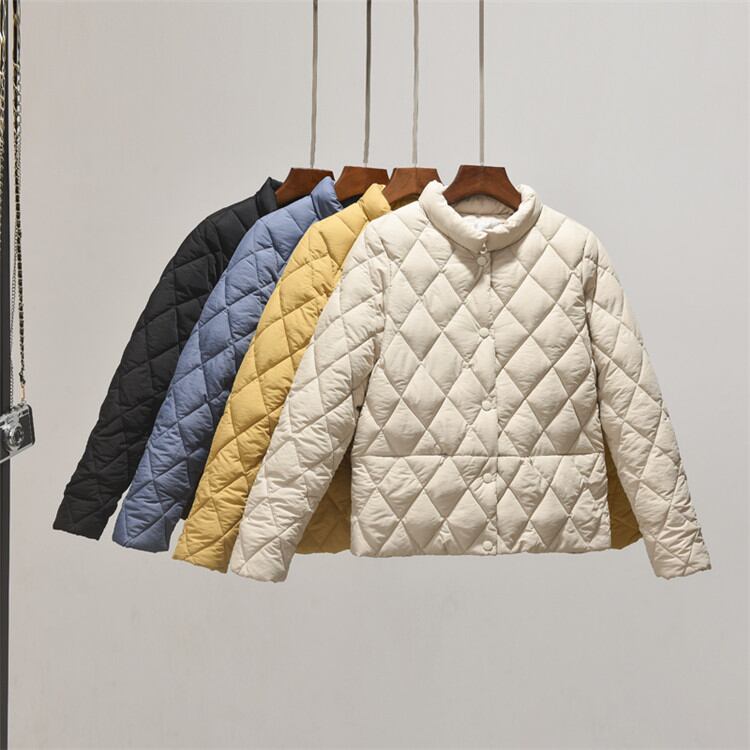 見なきゃ損する!薄い 冬 新品 スタンドカラー 単体ボタン スリムフィット 短いスタイル