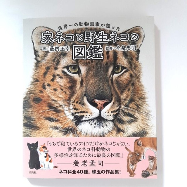 世界一の動物画家が描いた家ネコと野生ネコの図鑑