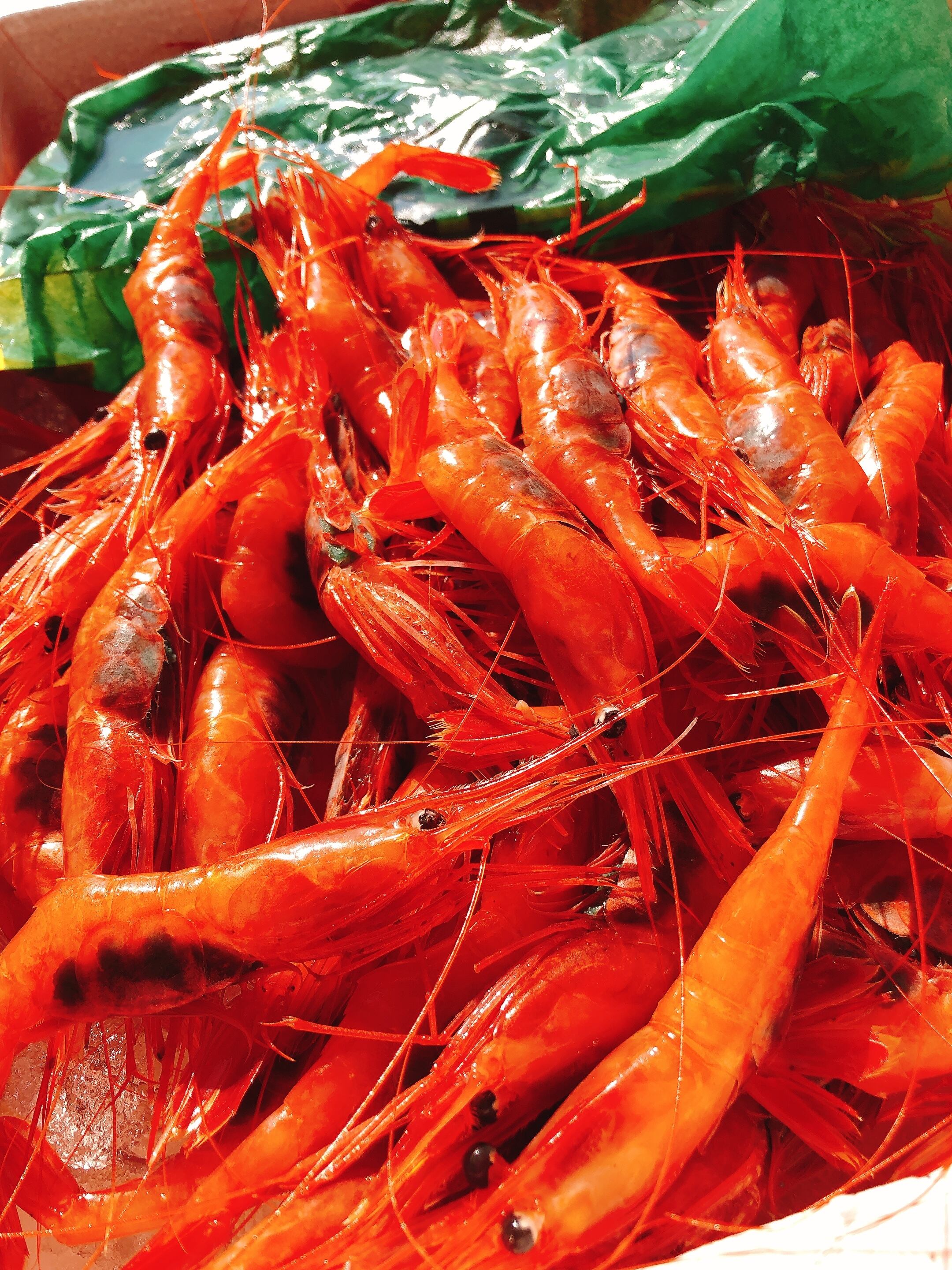 北陸産 甘エビ 尾 富山の魚屋 魚正 北陸産 甘エビ 尾 富山の魚屋 魚正