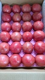 にのみや農園 大玉トマト 20〜24玉入り 約4kg