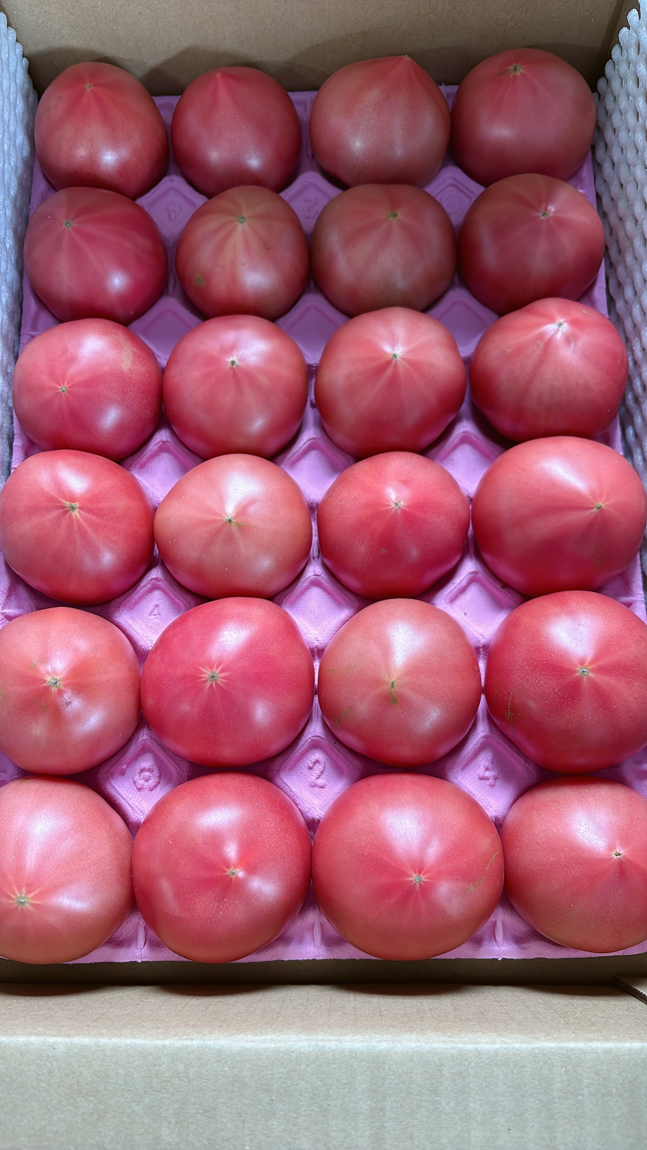 にのみや農園 大玉トマト 20〜24玉入り 約4kg