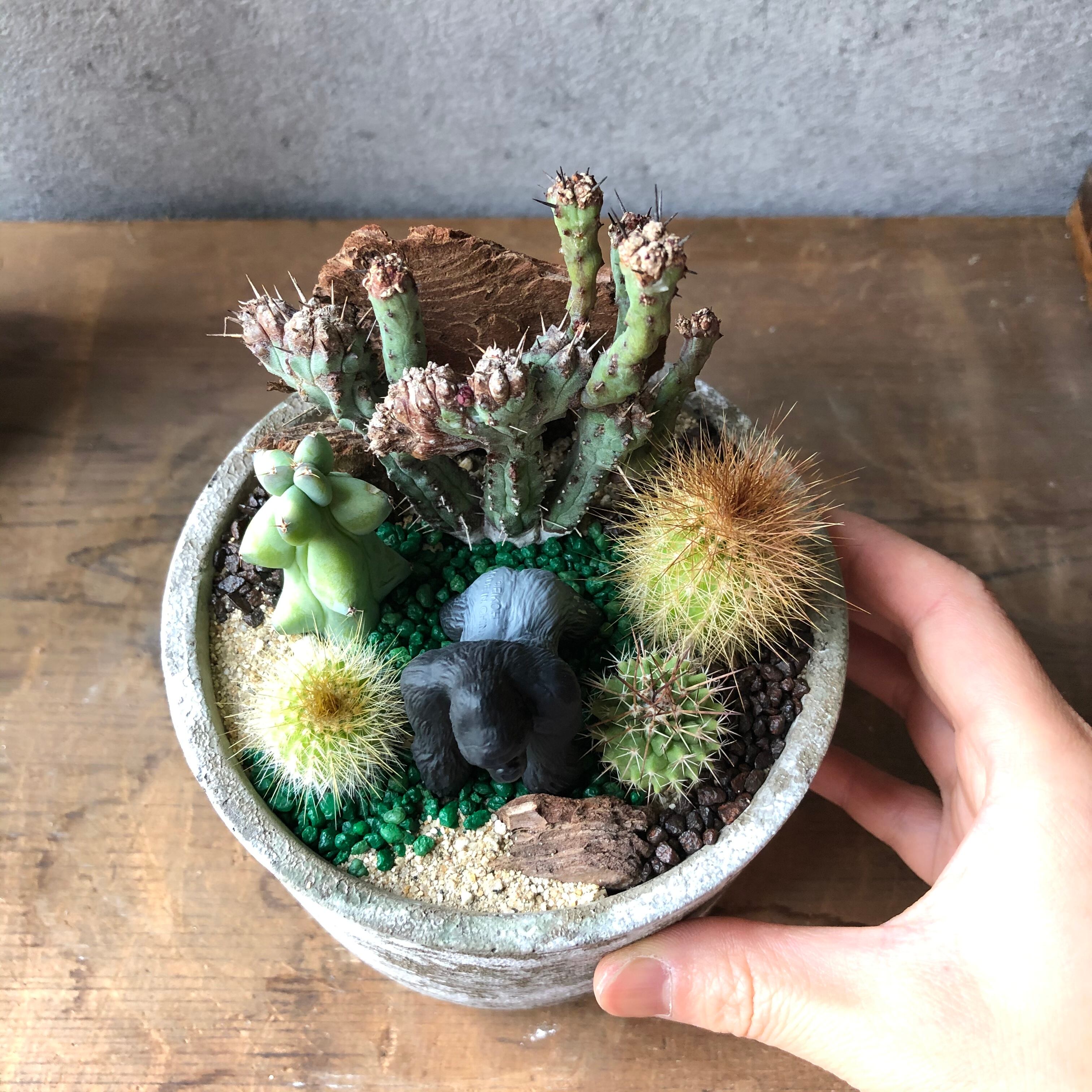 Gorilla ゴリラ mini | SABOTEN MISSILE