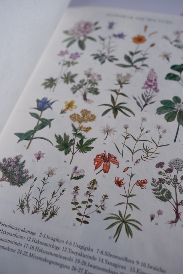 5th Anniversary book "FLOWER OF THE MOUNTAIN"