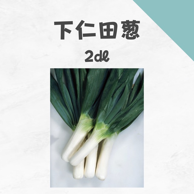 下仁田葱　ネギ種子・2dl