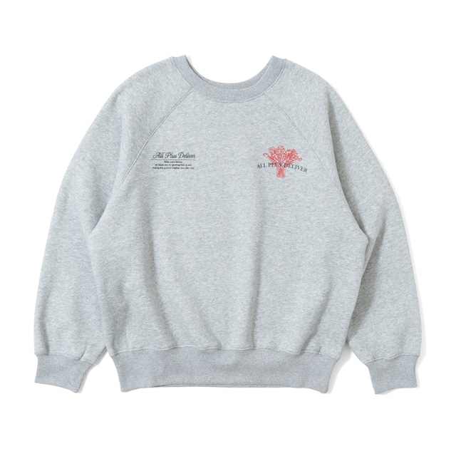 APD FLOWER GRAPHIC RAGLAN SWEAT / GRAY