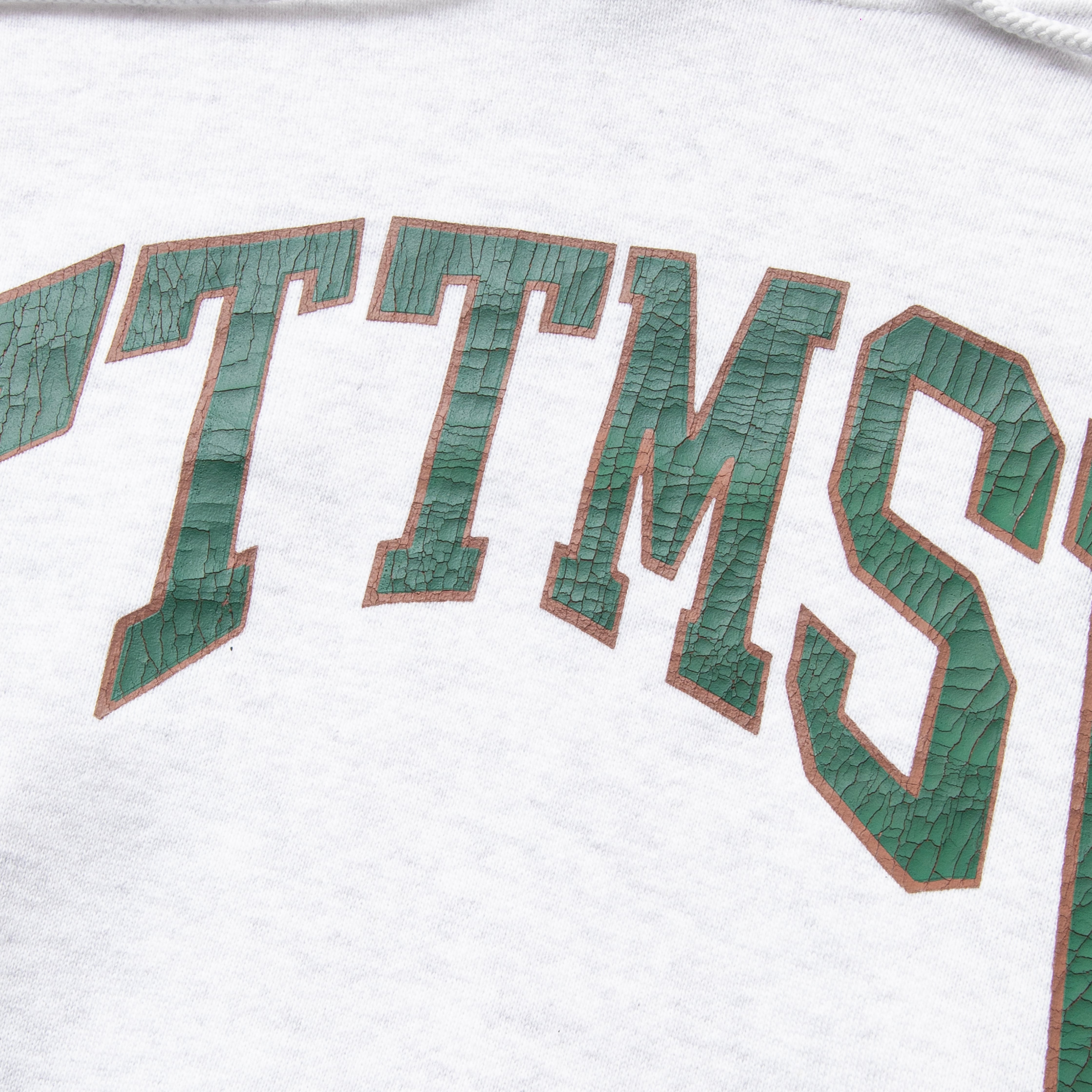 College logo hoodie (GRAY) | TTTMSW