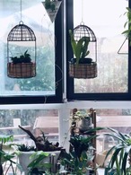 フラワースタンド プラントホルダー 吊り下げ アイアン 園芸ラック 観葉植物 植木鉢 手すり ハンギングバスケット 屋外 鉢置き ベランダ バルコニー 家庭菜園