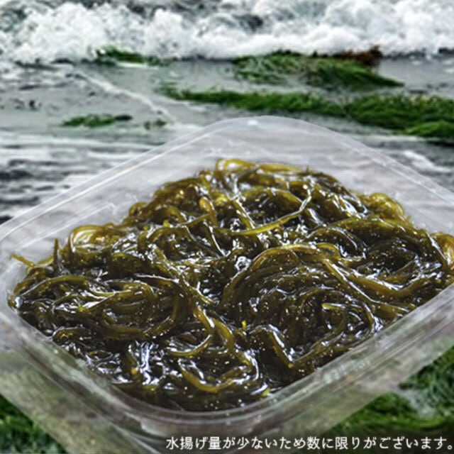 もずく adidas ZX 8000 atmos G-SNK11 