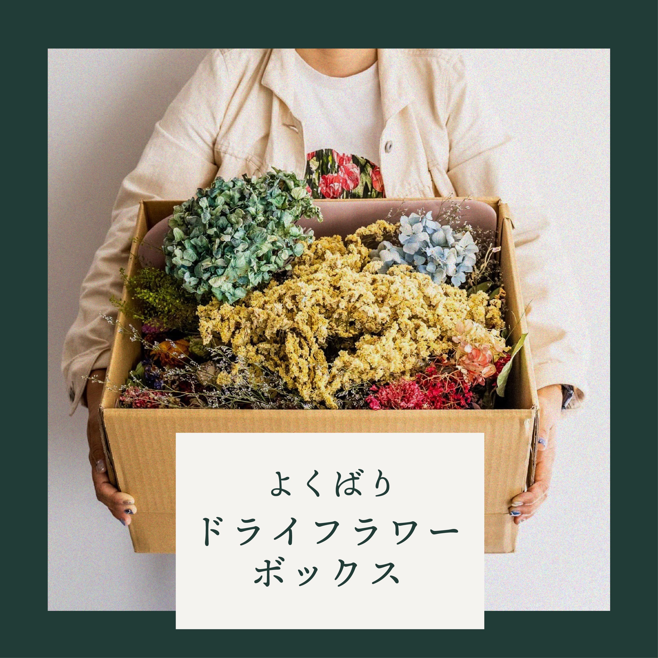 よくばりドライフラワーボックス（80サイズ箱）