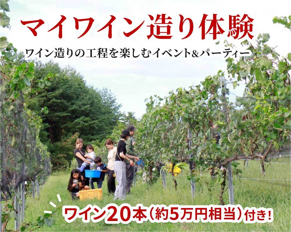 マイワイン造り体験2026【ワイン20本付き】8/7締切