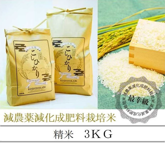 千葉県産 令和5年コシヒカリ10kg精米 減農薬栽培