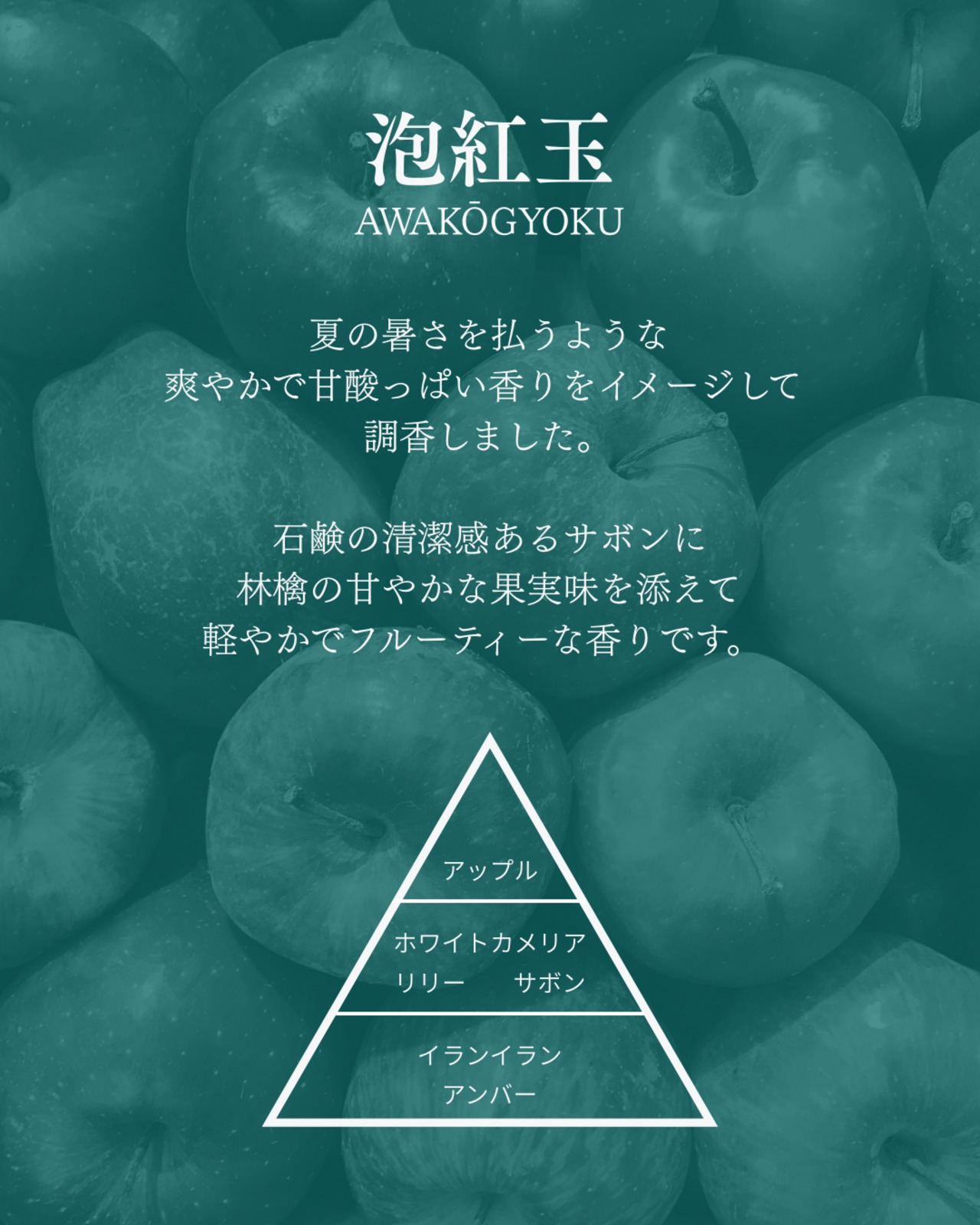 【一点】gui：ぐい – Mother's Day color