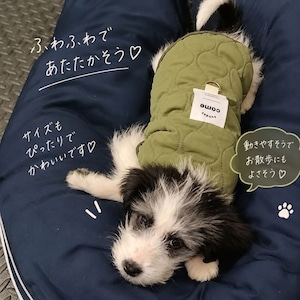 犬服 秋冬 犬用ベスト 防寒着 キルティング ボア 裏起毛 あったか ドッグウェア 小型犬 ペット服 袖なし スナップボタン 着脱簡単 おしゃれ かわいい 秋冬服 アイボリー カーキ S M L XL XXL コピー 商品画像3