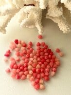 Pikake / Red / 10pc