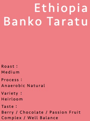 Ethiopia Banko Taratu（エチオピア バンコタラトゥ）浅煎り 200g