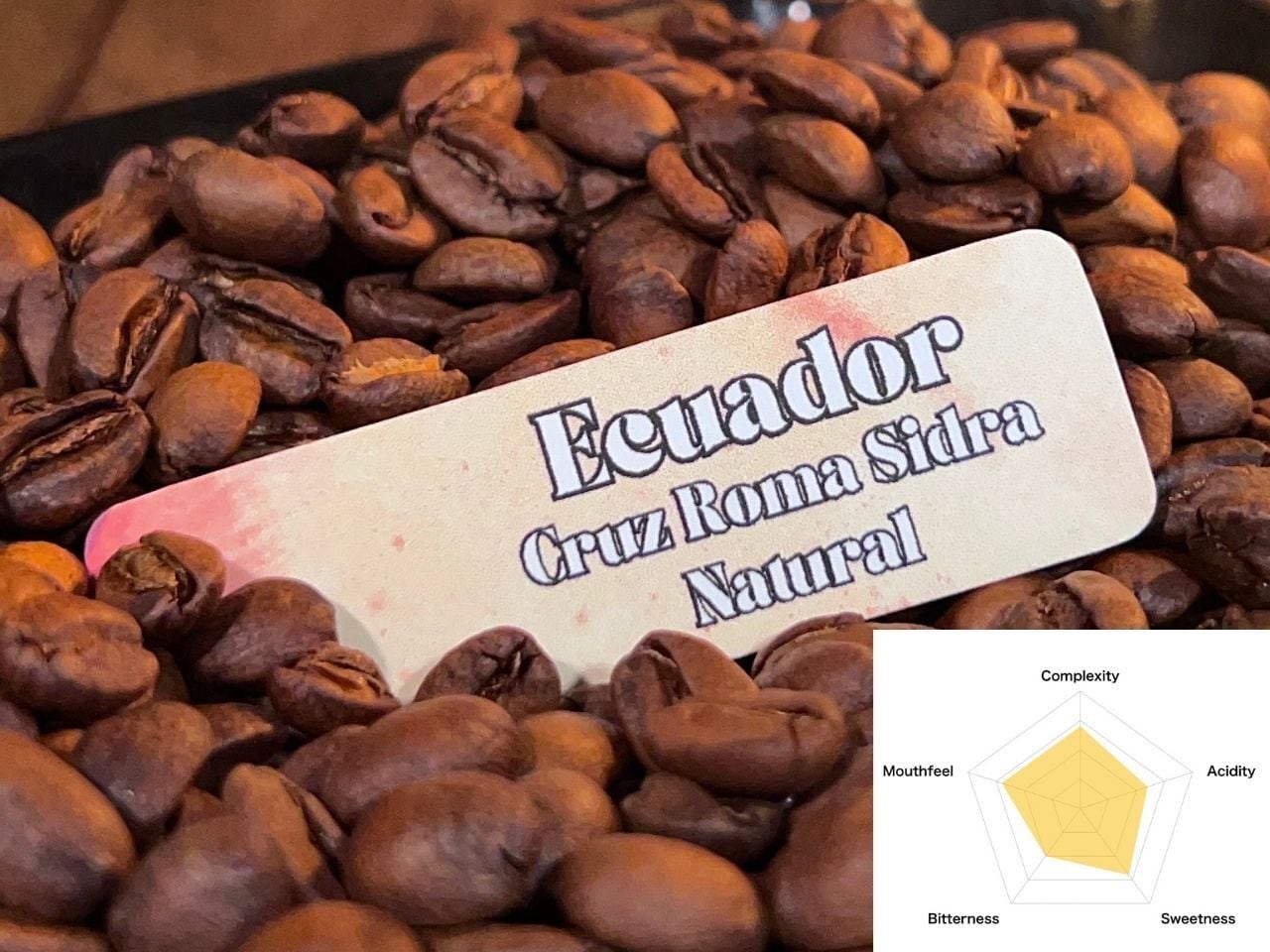 Ecuador Cruz Roma Sidra Natural｜Light Roast