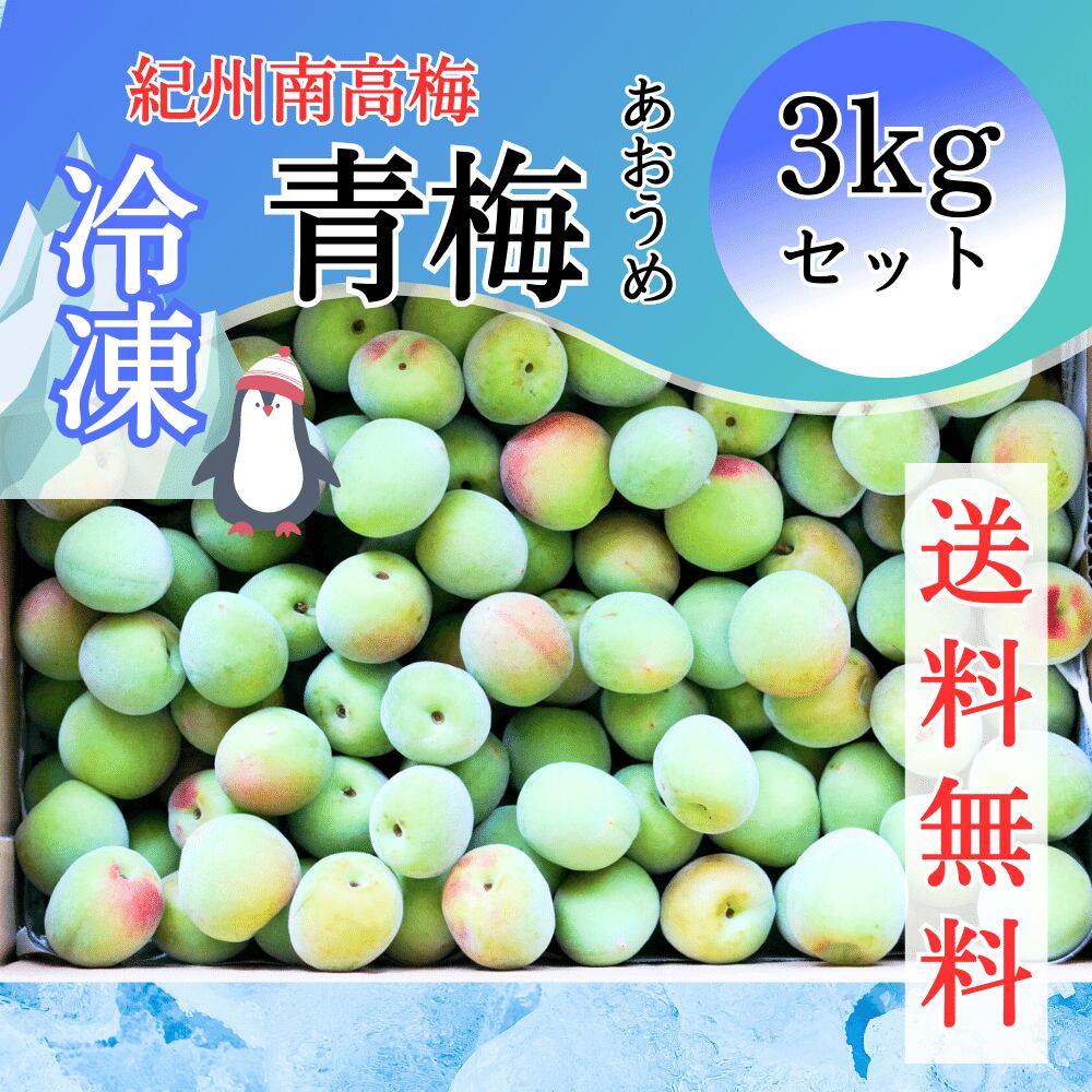 南高梅 青梅 朝取り当日出荷 和歌山みなべ町産 5kg の通販 by 朝どれ訳