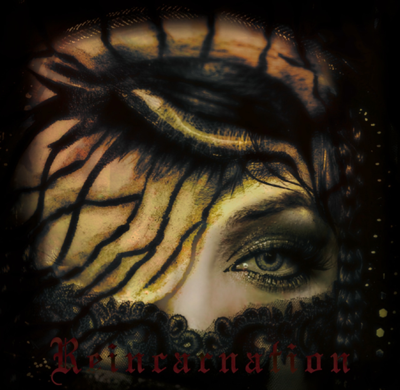 (新品未開封)Schwarz Stein - Reincarnation c86ba6f8deded350ce3af98891d4f1