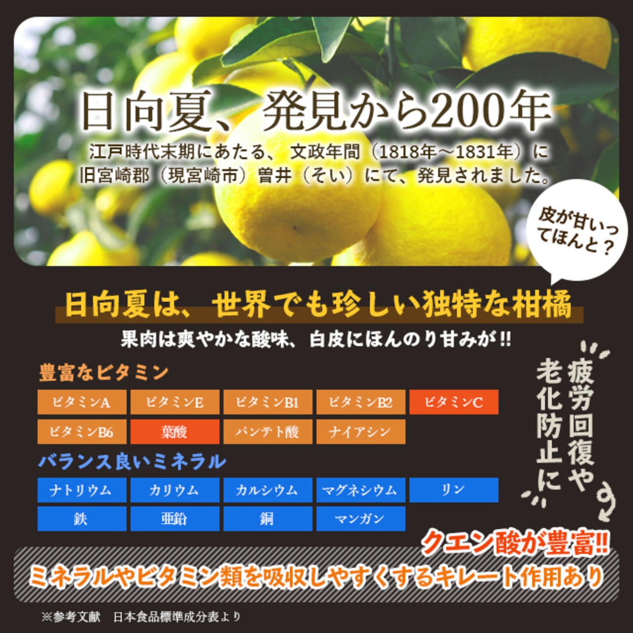 ★【P205】プチギフト　ドレッシング295mlサイズ　3本セット①