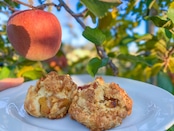 【12月発送分★8個セット】4つの味が楽しめるスコーン8個セット