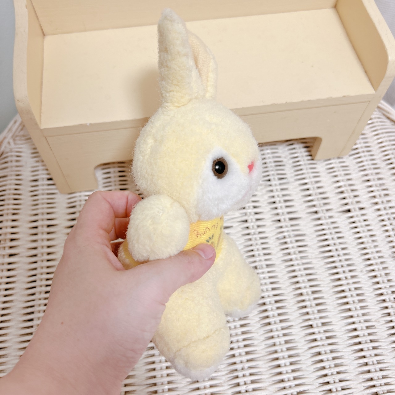 yellow bunnyの画像03